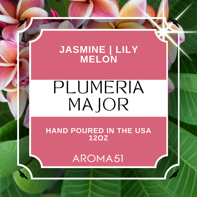 Plumeria Major