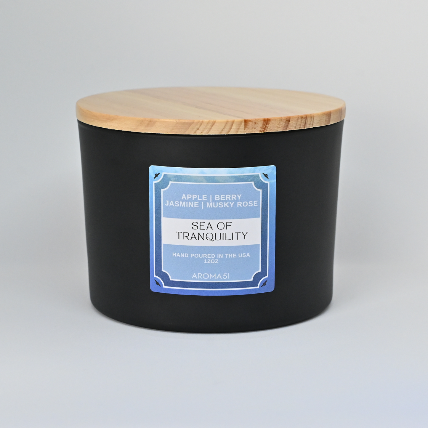 Coastal Ocean 3 wick soy candle